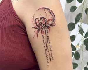 1CCF4CAA CC78 4574 935B BF9023846082 1 201 a