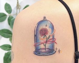 42C6C314 EC63 4D75 9CF4 0D441E0C3E99 1 201 a