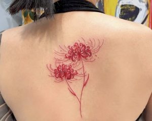 4FD6639E 074E 401E 86C4 9CE5B84127C9 1 201 a