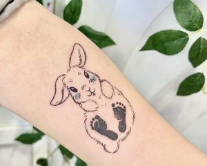 642FAA1A 0CBB 4828 80B6 B54EE95E6E94 1 201 a