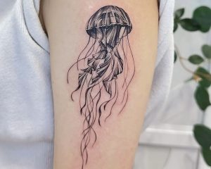 6807DEF9 30F6 4946 84D9 5D619469551C 1 201 a