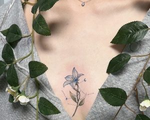 A17E55C1 3021 4CF5 B234 143599E635FB 1 201 a