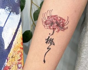 A357CF12 6FC6 4E62 B26B 9986DAC45991 1 201 a