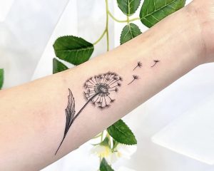 B3DC3A6B 7CDE 45F8 A2EB 8A719128F925 1 201 a