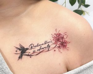 BA905B46 5BAC 4758 A5C6 283BE05DBFA2 1 201 a