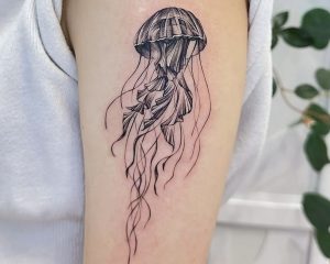 C442143A 400C 4E24 AAF0 636E94BFA11D
