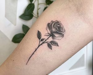 E4EA39C4 81F3 497B A677 594019E740FC 1 201 a