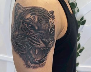 EEE81F1B AB18 431A B2FA 9BA574268F9E