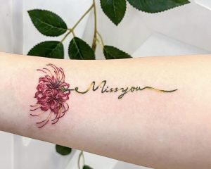 F9067C78 54DF 4798 8C01 A2F80614A634 1 201 a